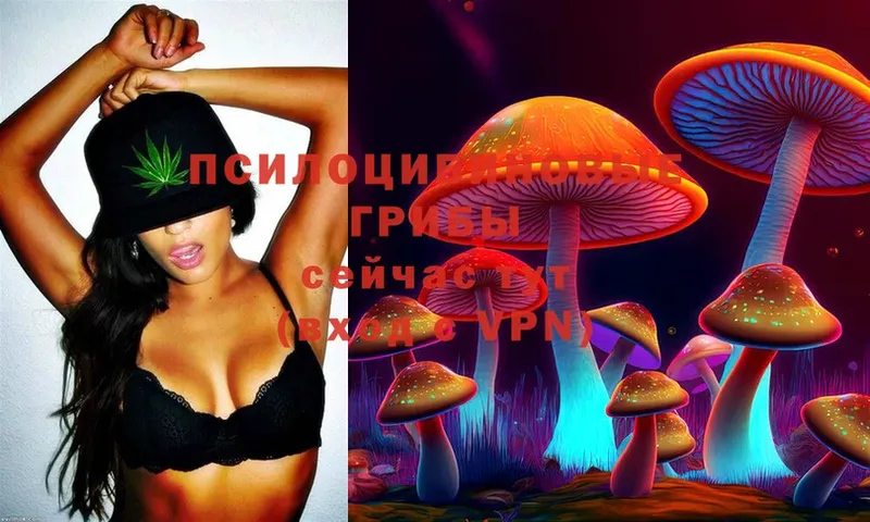 Галлюциногенные грибы Magic Shrooms  Кировск 